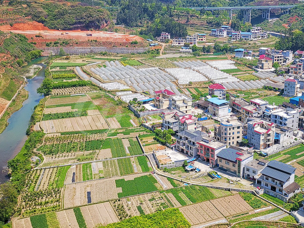 小区、城镇、农村